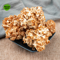꽃송이버섯 건재 1kg 자연건조