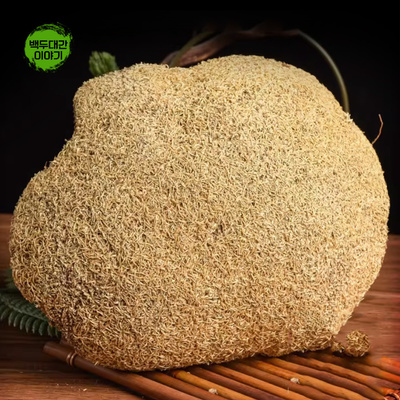 설영지 1kg 티벳 자연산 건재