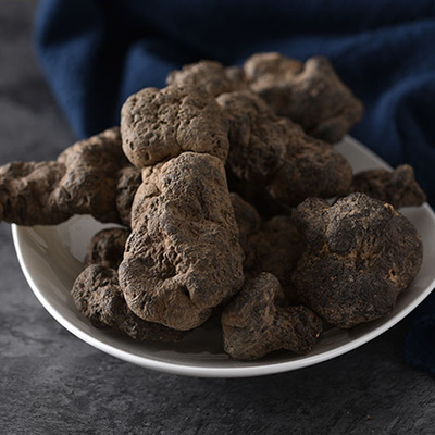 저령버섯 500g 건재 자연산