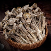 녹용 버섯 말린것 1kg 건조 마른 산호버섯 건재