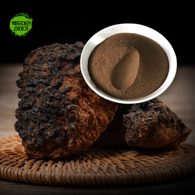 차가버섯 추출분말 1kg 농축 분말 가루 