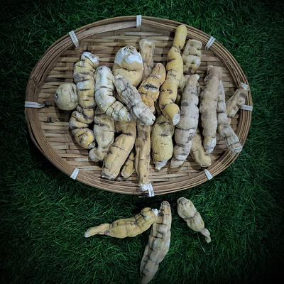 백하수오 건재 1kg 자연산 거피손질완료