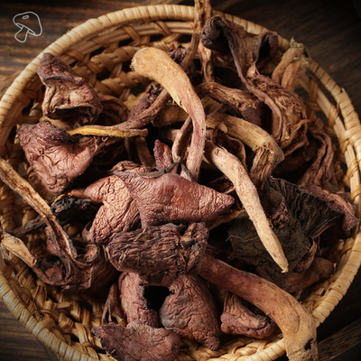 솔버섯 말린것 500g 건조솔버섯 마른 그물버섯 건재