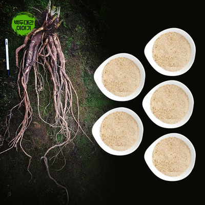 먹도라지 분말 1kg 자연산 산도라지 저온분쇄가루