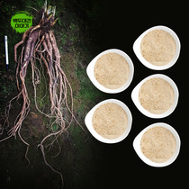 먹도라지 분말 1kg 자연산 산도라지 저온분쇄가루