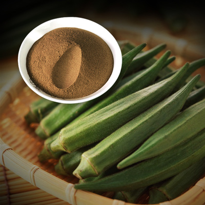 닥풀 황초규 추출분말 1kg 농축분말가루 