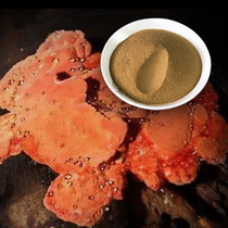 우장지 버섯 추출분말 1kg 농축분말가루 