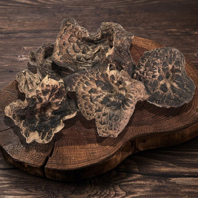 능이버섯 건재 500g/1kg 자연건조 말린것 A등급 참능이버섯 구별법