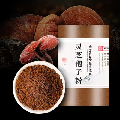 영지포자 분말 500g 동인당 저온분쇄가루