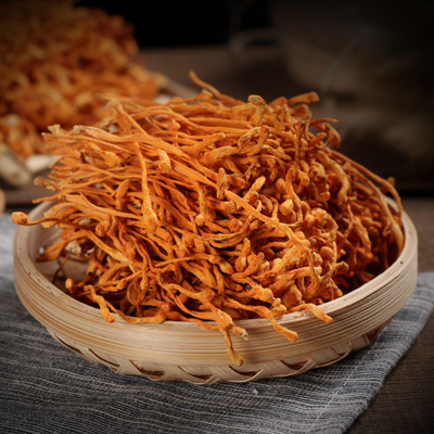 충초화 버섯 말린것 1kg 자연건조 마른 충초화버섯