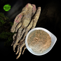 산더덕 분말 1kg 저온분쇄 자연산 가루