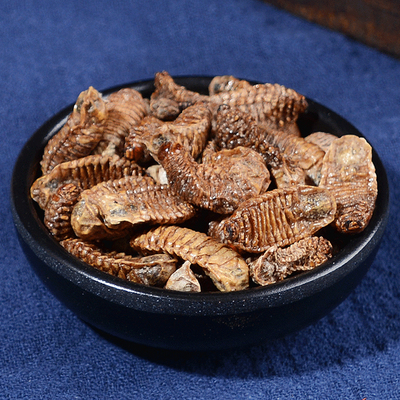 굼벵이 건재 1kg 굼뱅이 자연 건조 (항공특송7일)