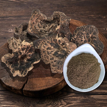 능이버섯 분말 250g/500g 저온분쇄 가루