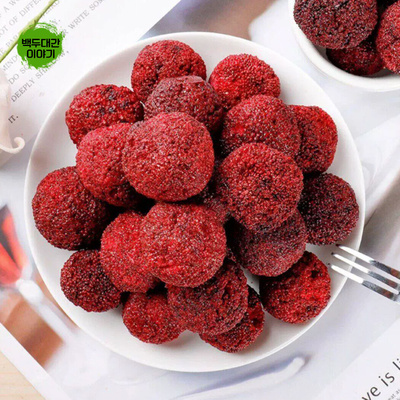 양매칩 양메이칩 1kg 동결 저온 건조 말린것