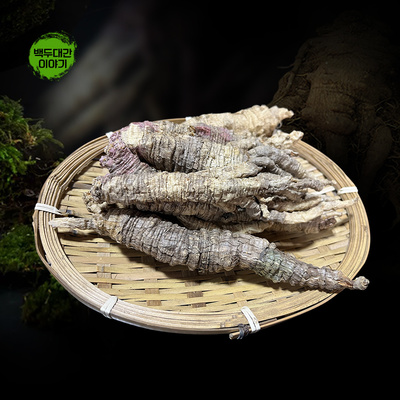 산더덕 건재 1kg 자연산 자연건조