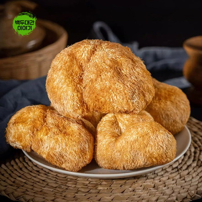 노루궁뎅이버섯 500g 자연산건재